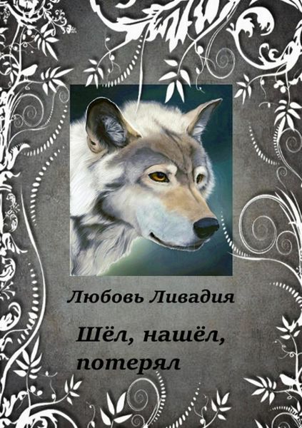 Обложка книги  «Шёл, нашёл, потерял»