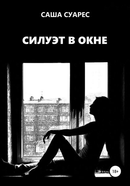 Обложка книги  «Силуэт в окне»