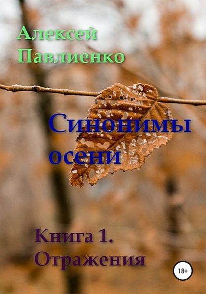 Обложка книги  «Синонимы осени. Книга 1. Отражения»