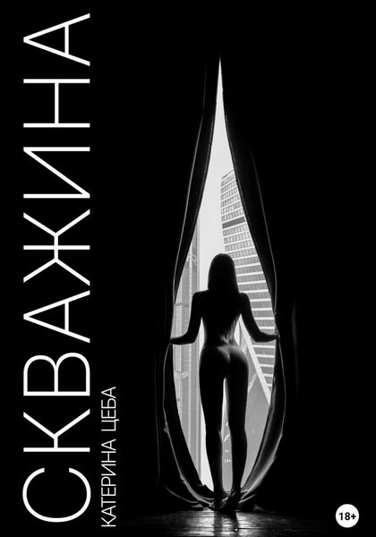 Обложка книги  «Скважина»