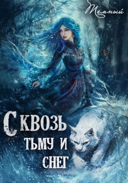 Обложка книги «Сквозь тьму и снег»