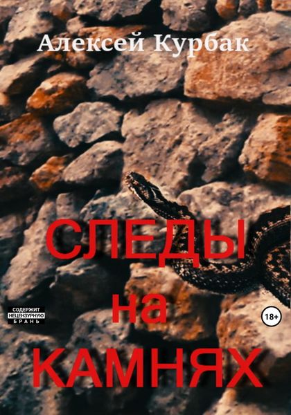 Обложка книги  «Следы на камнях»