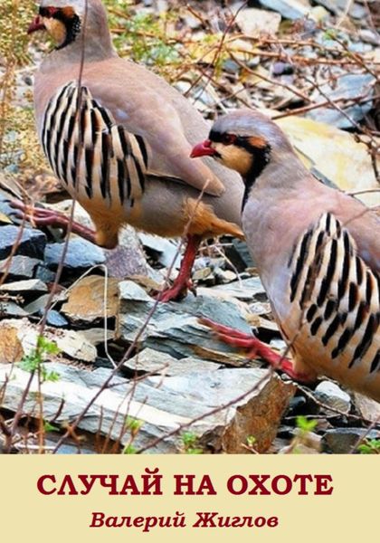 Обложка книги  «Случай на охоте»