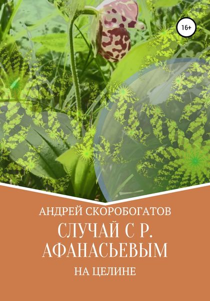 Обложка книги  «Случай с Р. Афанасьевым на целине»