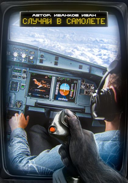 Обложка книги  «Случай в самолёте»