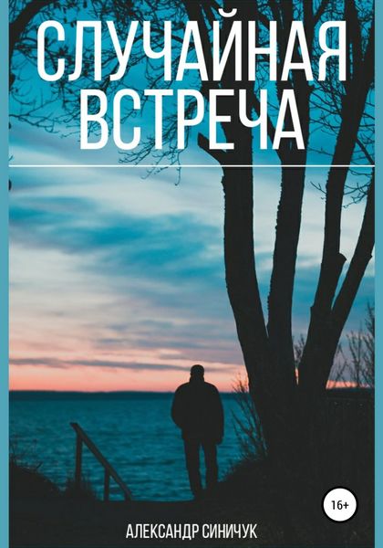 Обложка книги  «Случайная встреча»