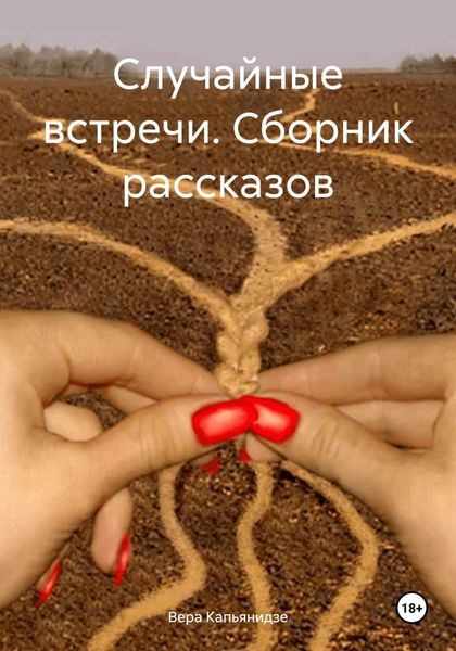 Обложка книги  «Случайные встречи. Сборник рассказов»
