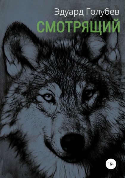 Обложка книги  «Смотрящий»