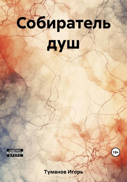 Обложка книги  «Собиратель душ»