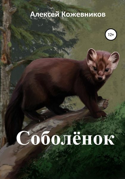 Обложка книги  «Соболёнок»