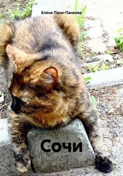 Обложка книги  «Сочи»