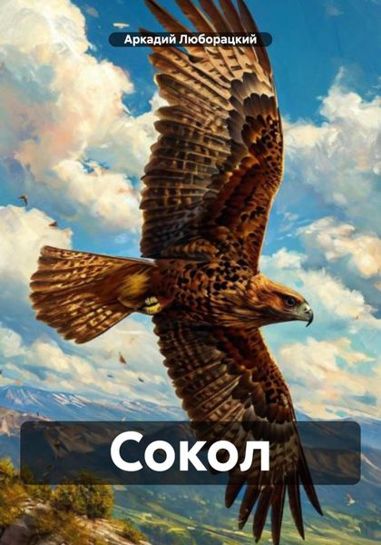 Обложка книги  «Сокол»