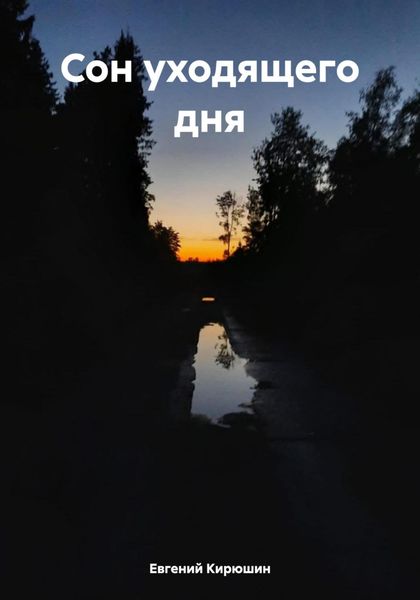 Обложка книги  «Сон уходящего дня»