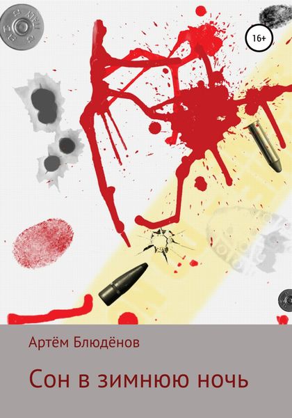 Обложка книги  «Сон в зимнюю ночь»