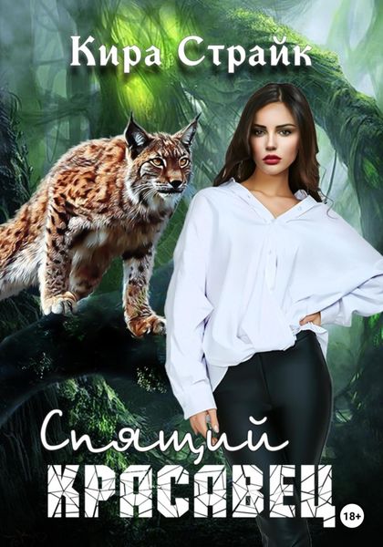 Обложка книги  «Спящий красавец»