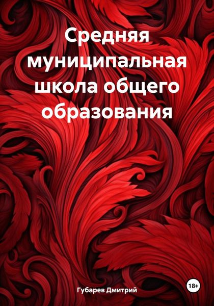 Обложка книги «Средняя муниципальная школа общего образования»