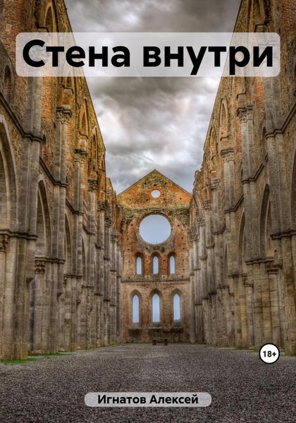 Обложка книги  «Стена внутри»