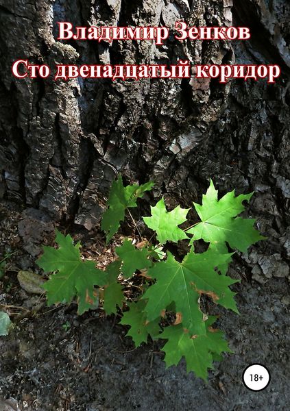 Обложка книги  «Сто двенадцатый коридор»