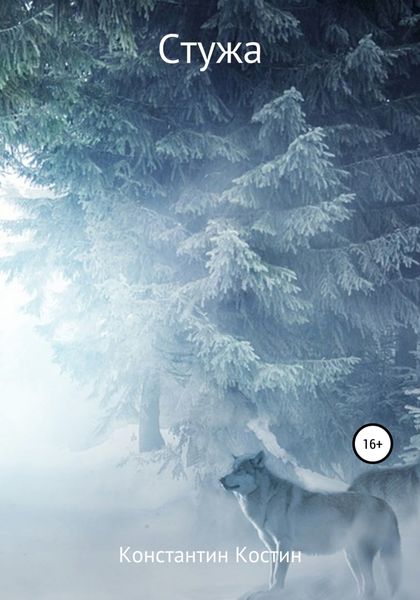 Обложка книги  «Стужа»