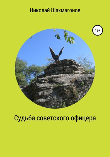Обложка книги  «Судьба советского офицера»