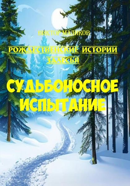 Обложка книги  «Судьбоносное испытание»