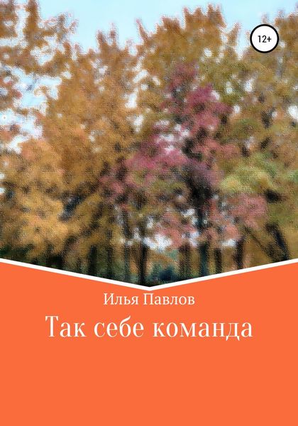 Обложка книги  «Так себе команда»