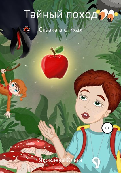 Обложка книги  «Тайный поход»