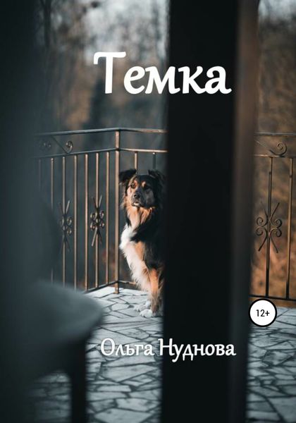 Обложка книги  «Темка»