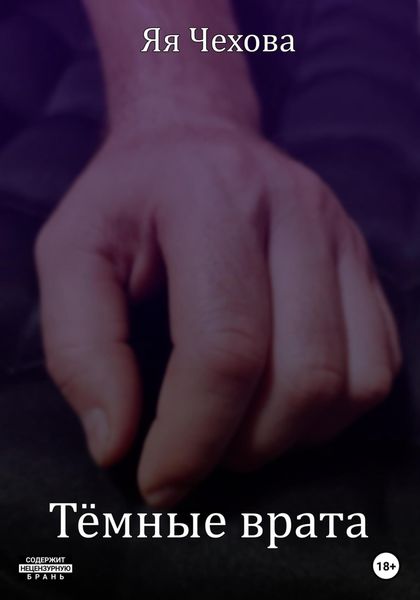 Обложка книги  «Темные врата»