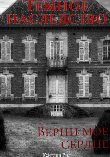Обложка книги  «Темное наследство»