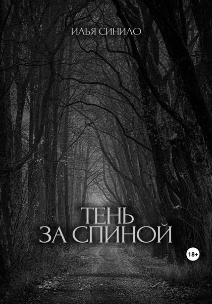 Обложка книги  «Тень за спиной»