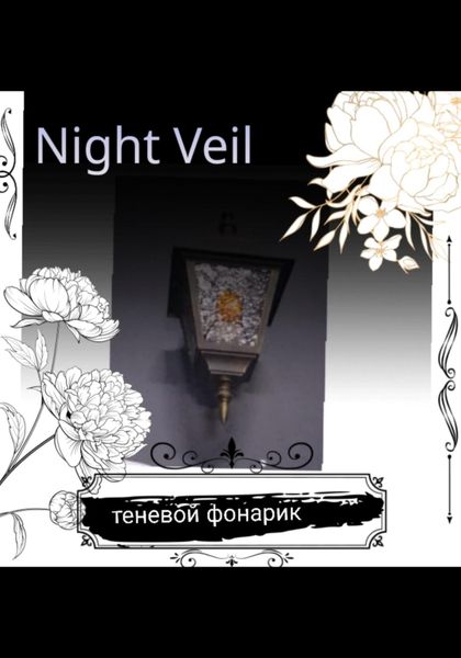Обложка книги  «Теневой фонарик»