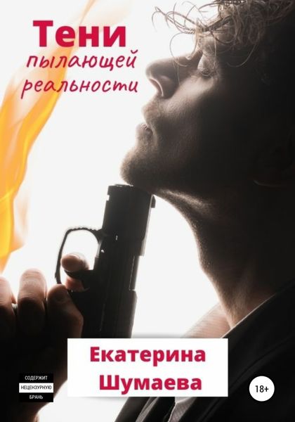 Обложка книги  «Тени пылающей реальности»
