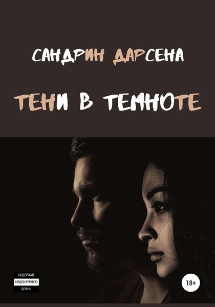 Обложка книги  «Тени в темноте»
