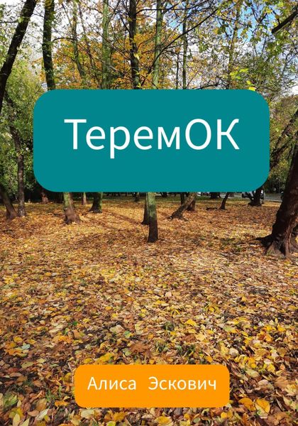 Обложка книги  «ТеремОК»