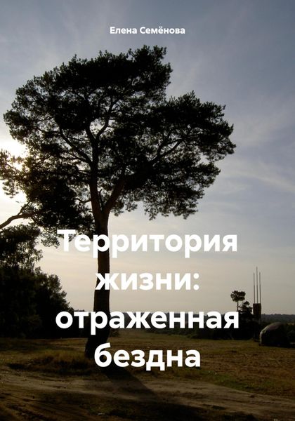 Обложка книги  «Территория жизни: отраженная бездна»