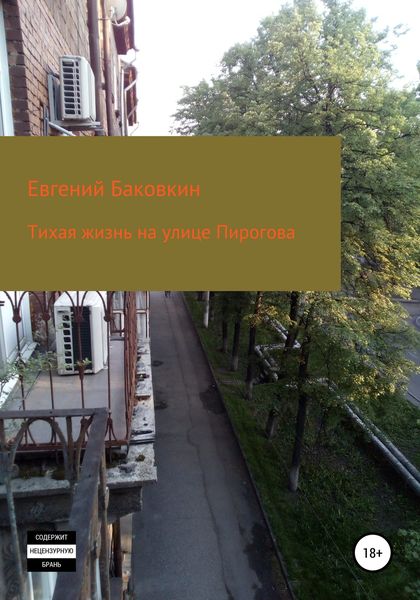 Обложка книги  «Тихая жизнь на улице Пирогова»