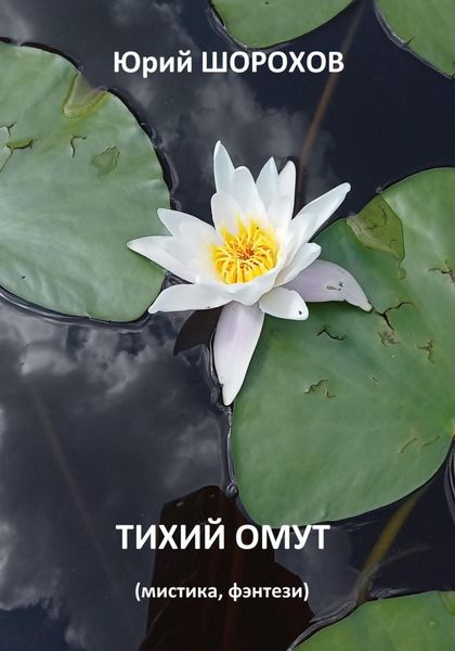 Обложка книги  «Тихий омут»