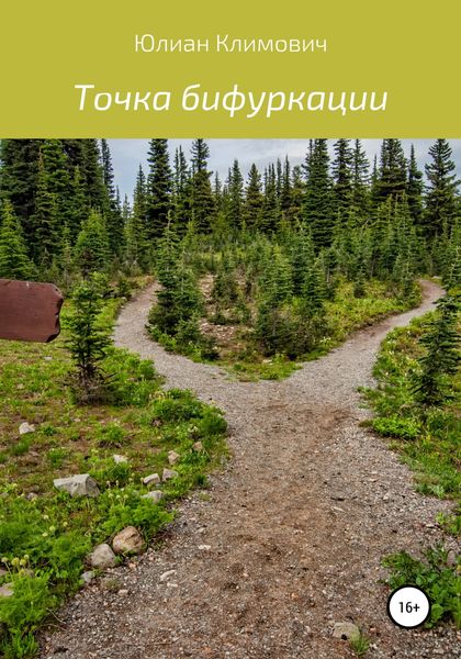 Обложка книги  «Точка бифуркации»
