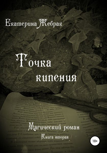 Обложка книги  «Точка кипения. Магический роман»