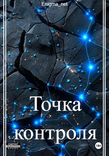 Обложка книги  «Точка контроля»