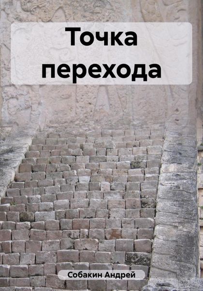 Обложка книги  «Точка перехода»