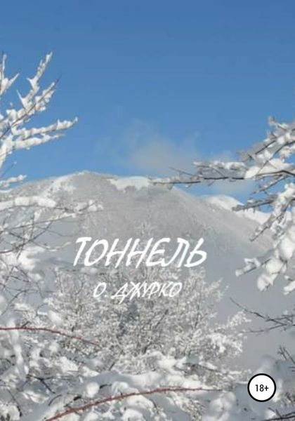 Обложка книги  «Тоннель»