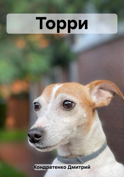 Обложка книги  «Торри»