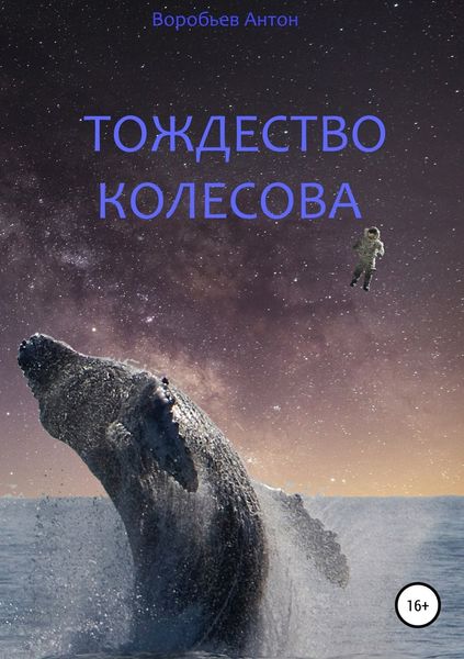 Обложка книги  «Тождество Колесова»