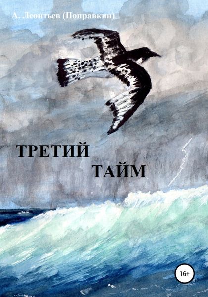 Обложка книги  «Третий тайм»
