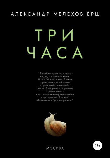 Обложка книги  «Три часа»