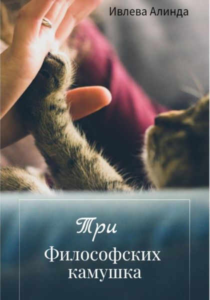 Обложка книги  «Три философских камушка»