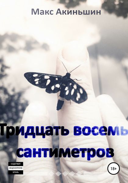 Обложка книги  «Тридцать восемь сантиметров»