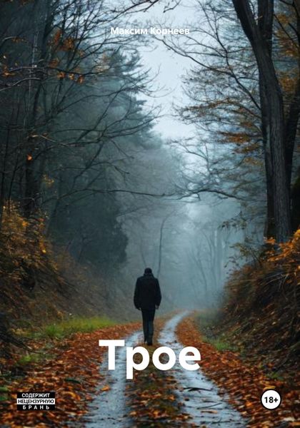 Обложка книги  «Трое»